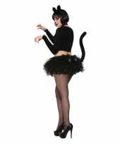 Zwarte rok katten poezen staart